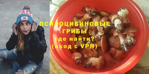 a pvp Алексин