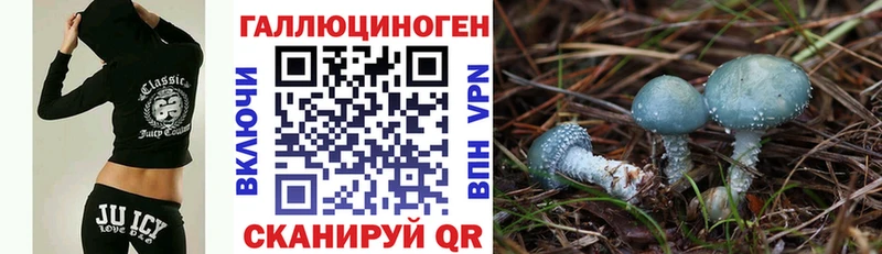 Галлюциногенные грибы Cubensis ОМГ ОМГ вход Кинель