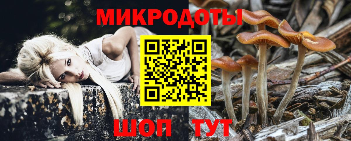 Псилоцибиновые грибы мицелий Кинель